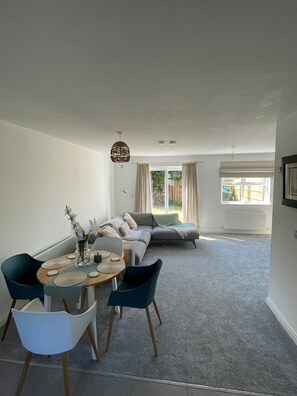 TV, fireplace, video games, DVD player