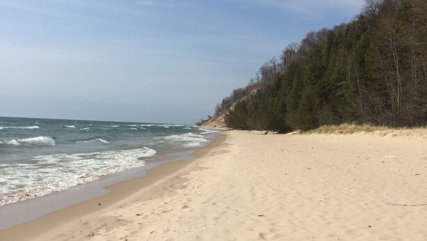Een strand met een zandrijk strand, golven en een bebost heuvel in de verte.