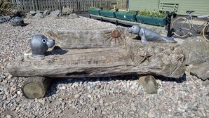 A log with a sculpture of a hippo and a starfish.