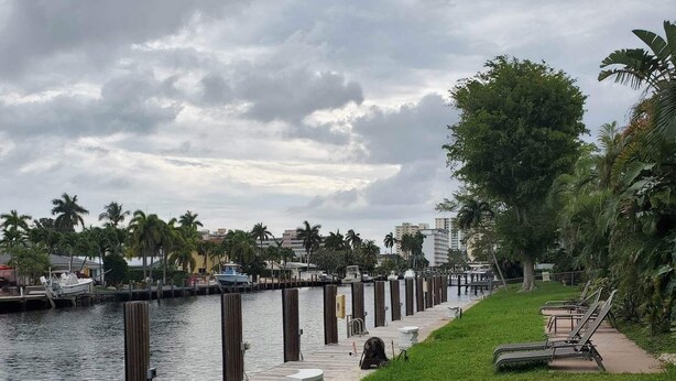 A waterfront promenade with a wooden dock, grassy areas, and palm trees. - Condo with pool, walking distance to beach, groceries and several restaurants (Pompano Beach)