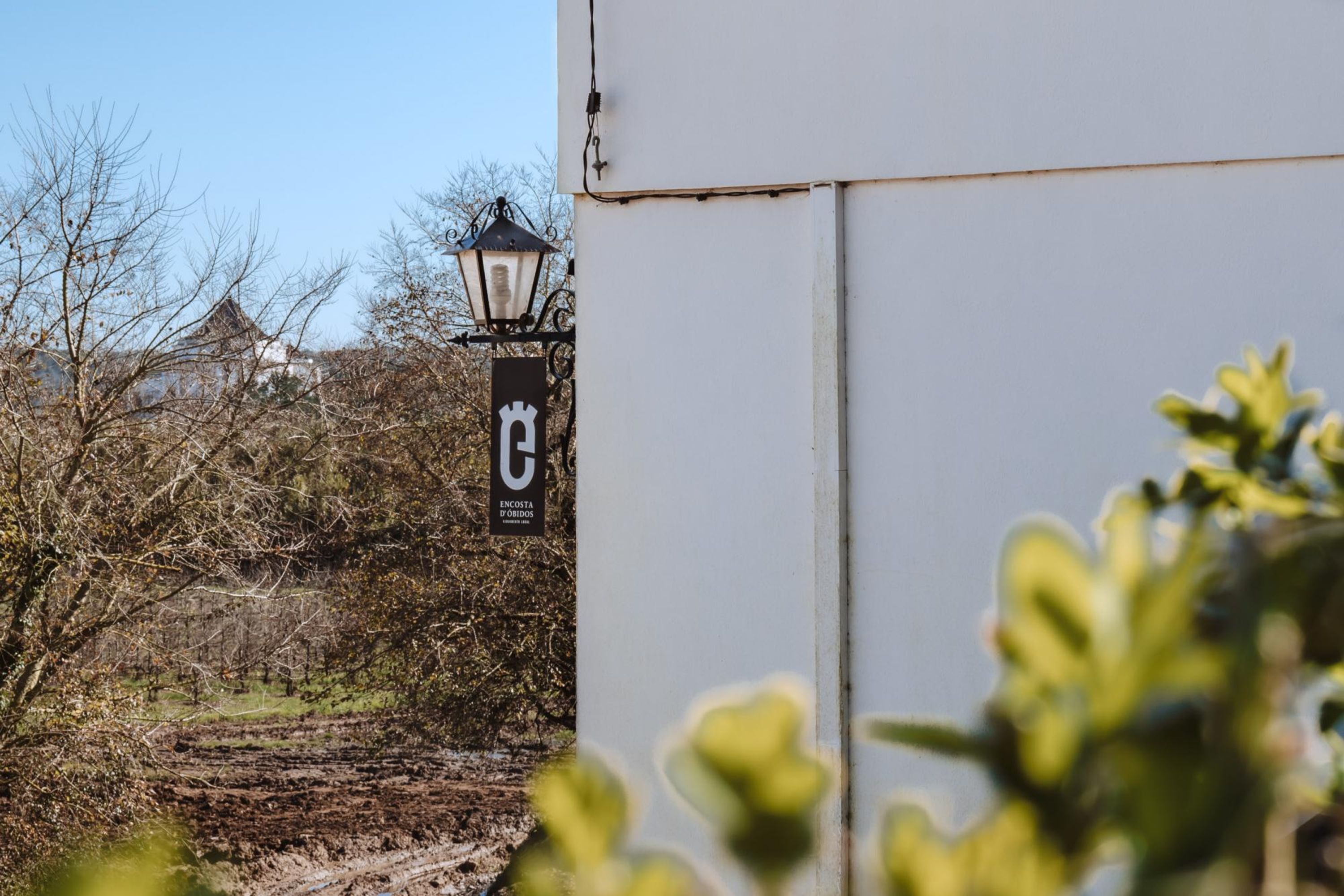 Căn hộ | 2 phòng ngủ 