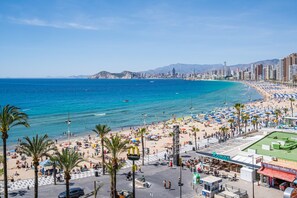 Un paysage urbain au bord de la plage, avec une large promenade, des palmiers et une vue dégagée sur la mer.
