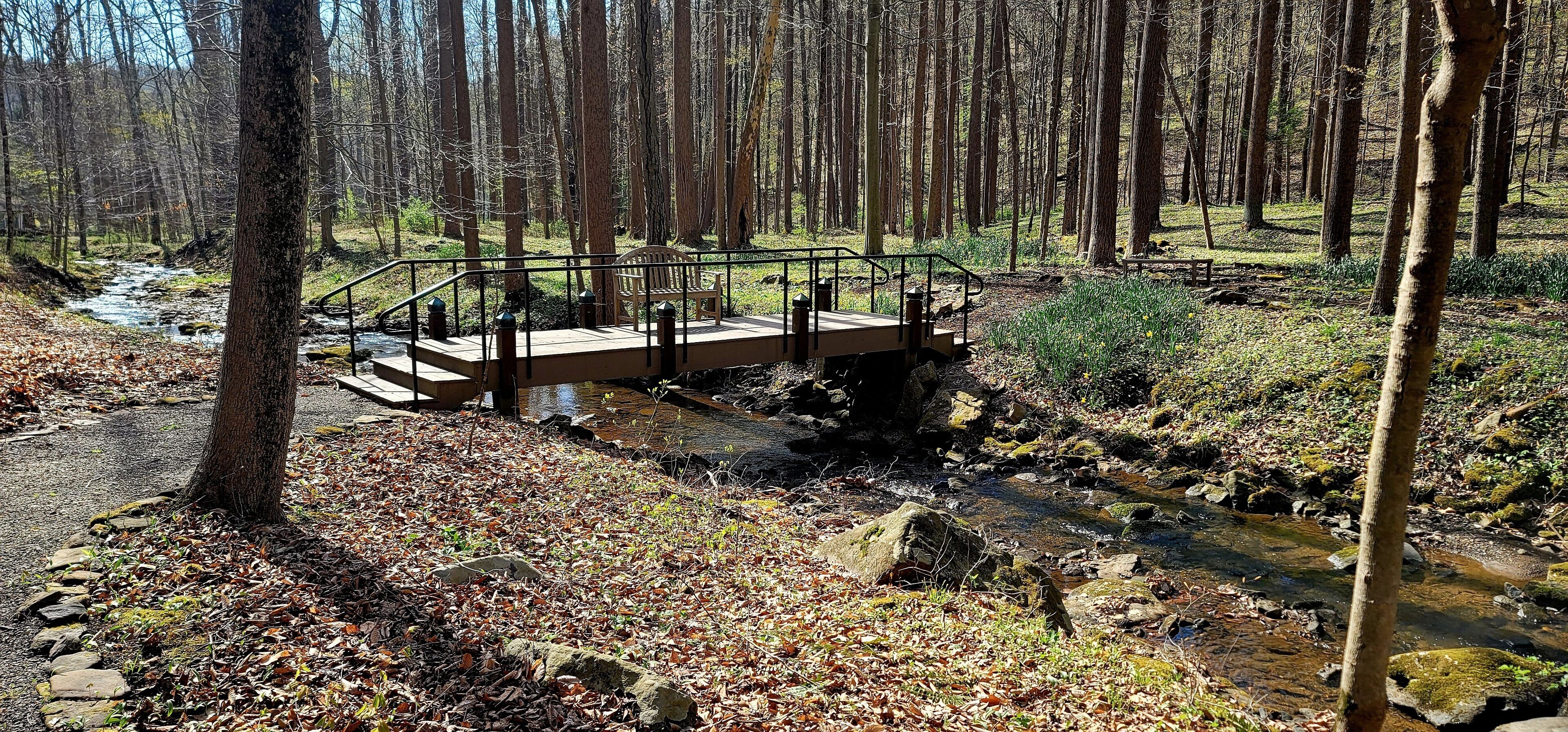 A wooden bridge over a stream in a forested area with a bench and railing.