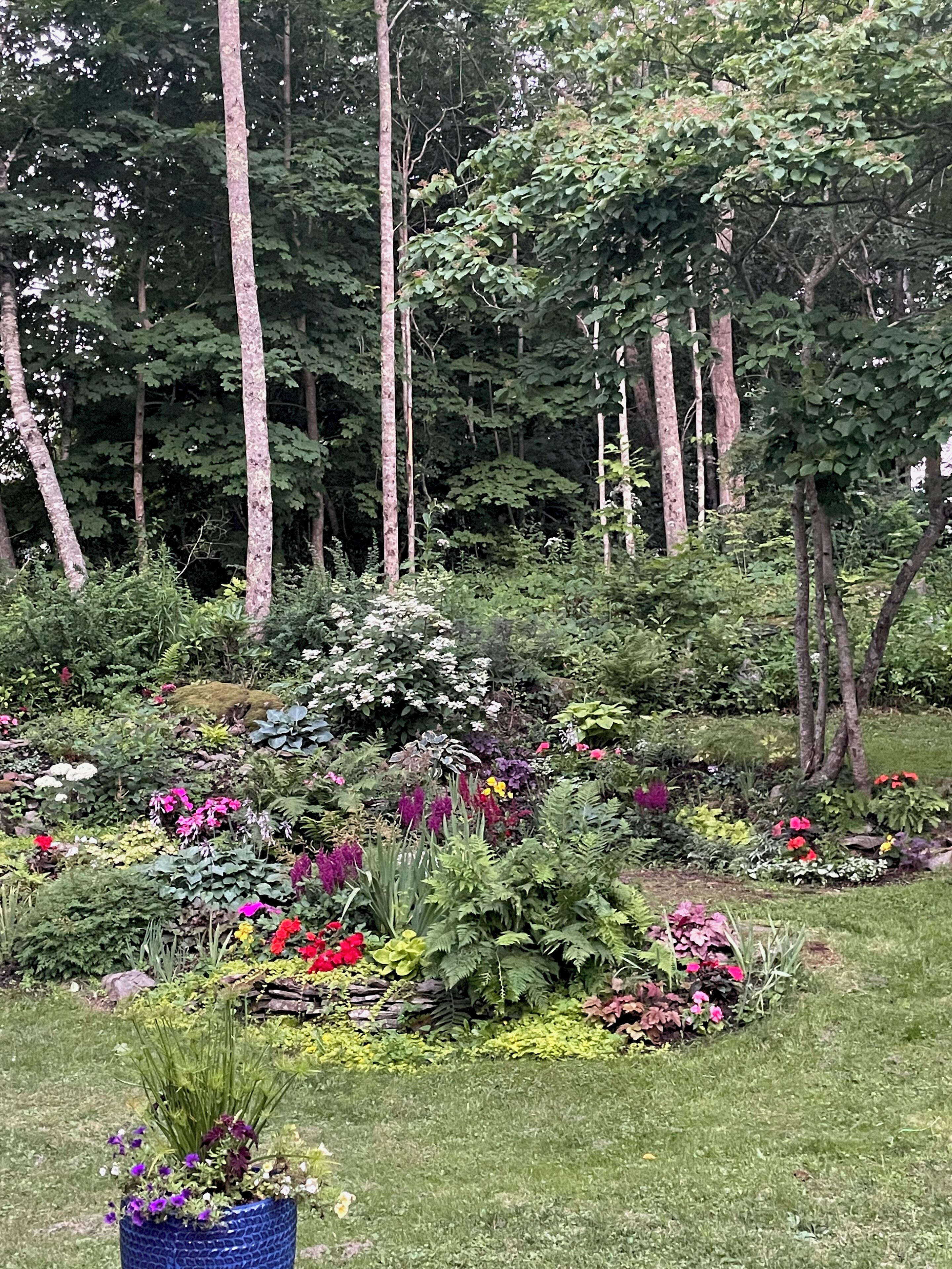 Terrain de l’hébergement 