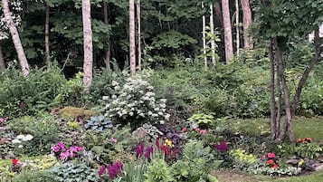 Terrain de l’hébergement