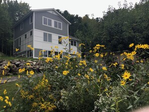 Udendørsområde