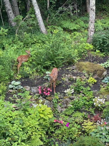 Modern, Light-filled, Quiet Home within 5 Minute Walk to Harbor and Beach