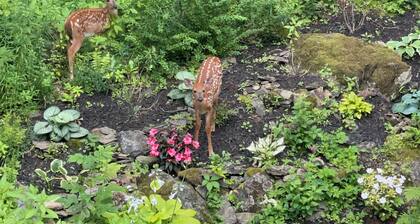 Modern, Light-filled, Quiet Home within 5 Minute Walk to Harbor and Beach