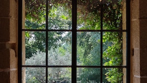 Ein großes Fenster mit Gittermuster, Steinmauern und Blick auf einen Garten mit Bäumen und Blumen.