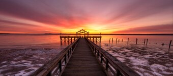 Stylish 1 BR Apartment w Movie Theater