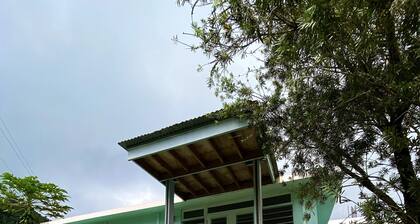 Perfect for large groups - House & Triplex w/private river access