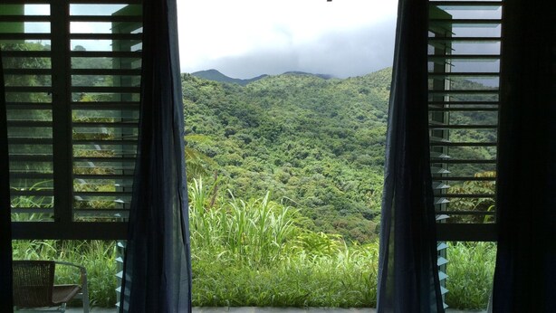 A room with a view of a lush green landscape through open shutters. - Perfect for large groups - House & Triplex w/private river access (Naguabo)