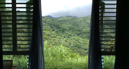 Perfect for large groups - House & Triplex w/private river access