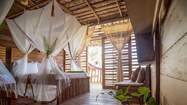 A room with wooden floors, a bed with a canopy, a small table, and a large plant. - BioHotel Arara River (Leticia)