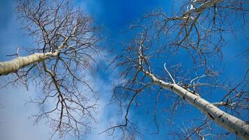 獨棟房屋 | 外觀