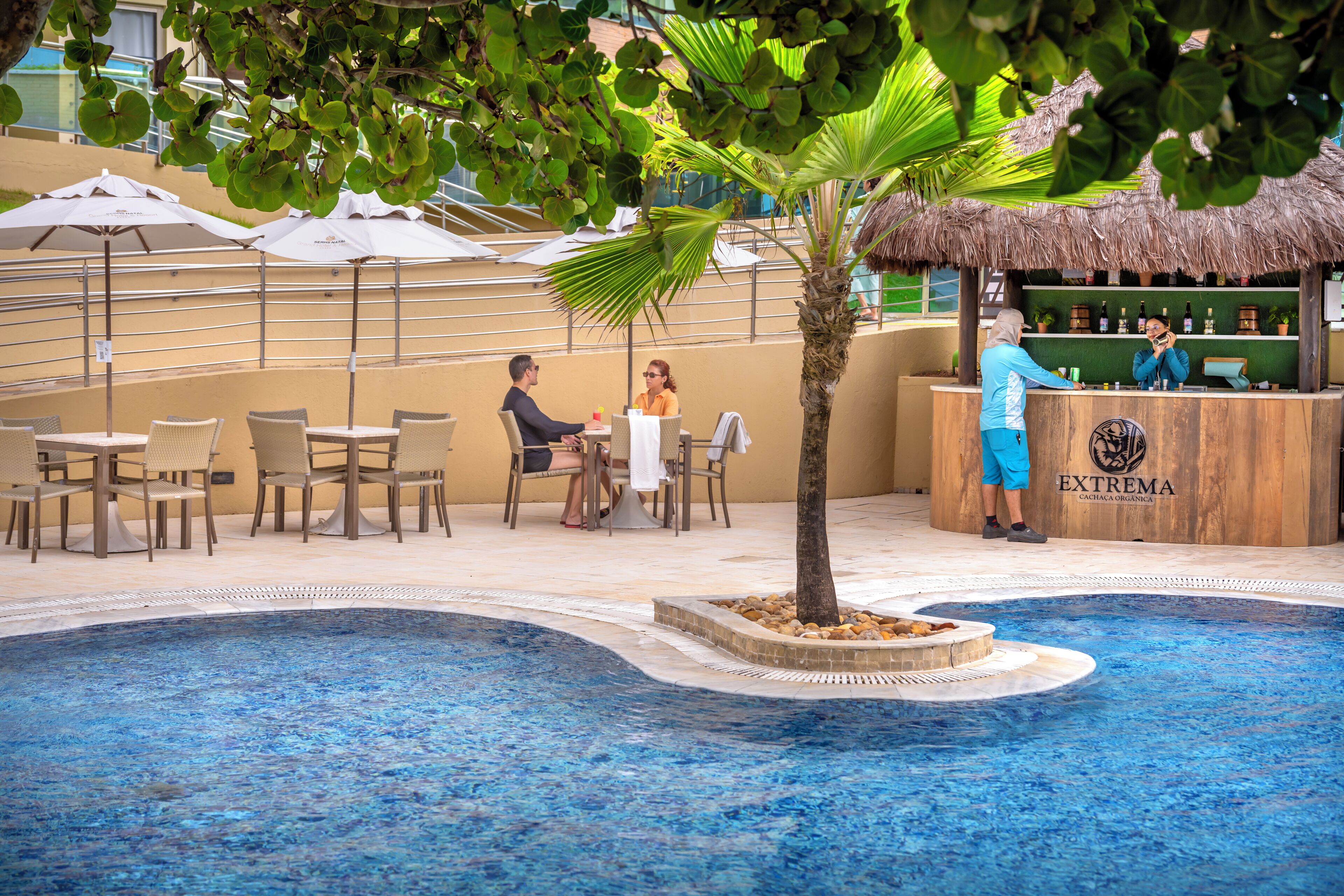 A poolside area with a bar, seating, and a palm tree.
