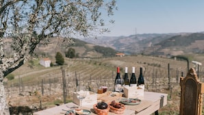 Una mesa dispuesta al aire libre con botellas de vino, copas y comida.