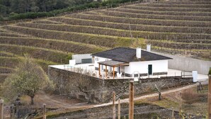 Una casa moderna con techo plano, ubicada en una ladera con viñedos escalonados al fondo.