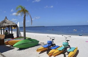 Een strand met een hut met rieten dak, een palmboom en verschillende kajaks en stand-up paddleboards.