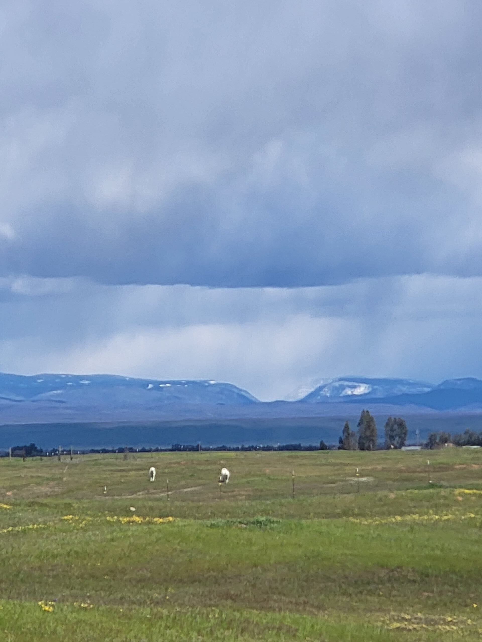 Quiet, vast,mountain views farm house where you and your family will enjoy