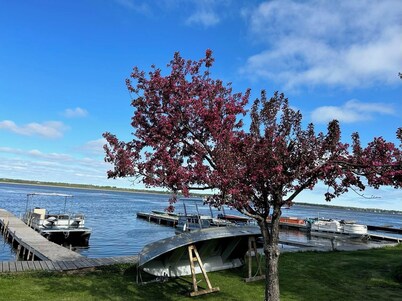 Myriad Fins Cottage and Marina