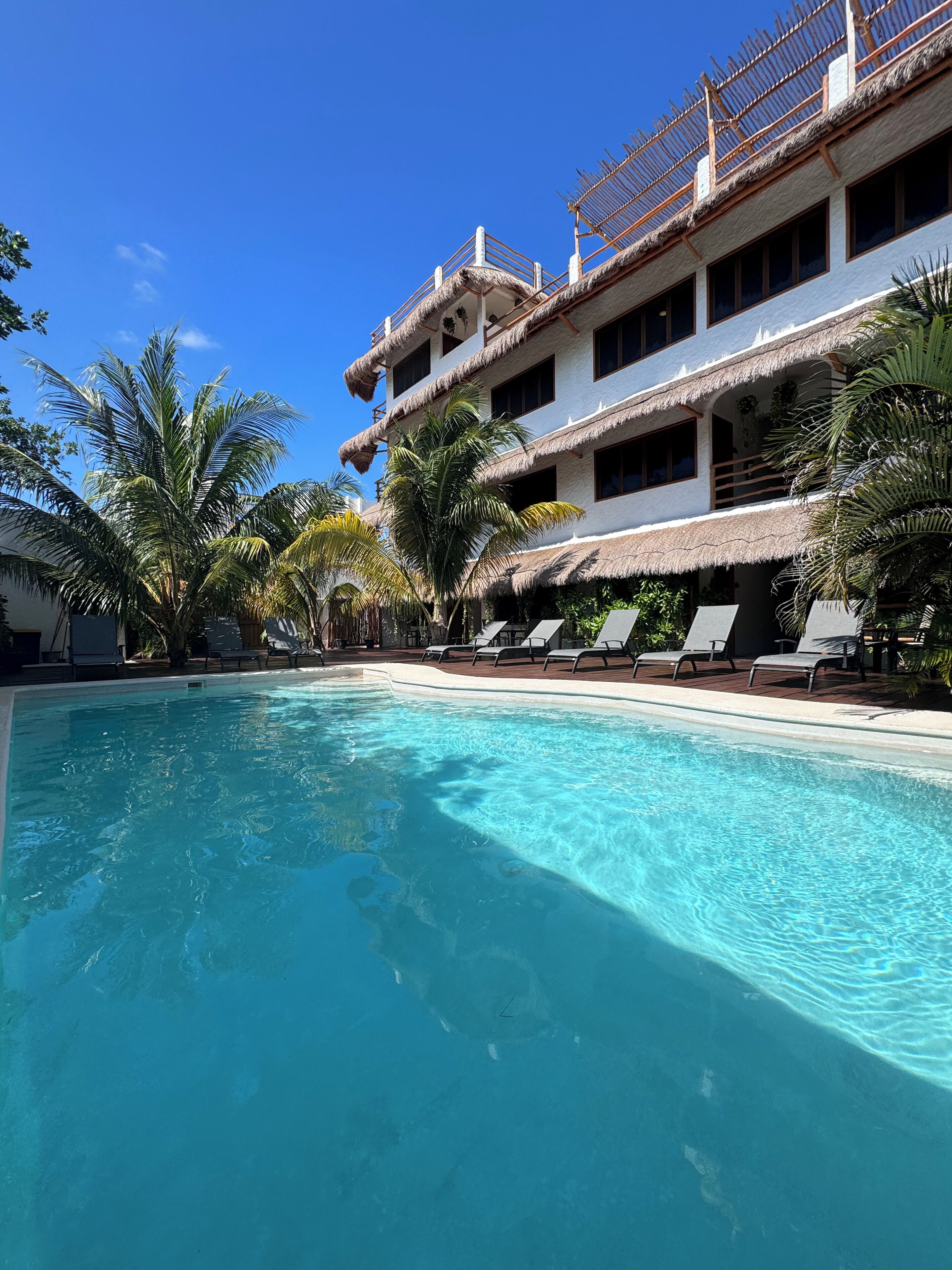 屋外プール、営業時間 8:00 ～ 20:00、サンラウンジャー