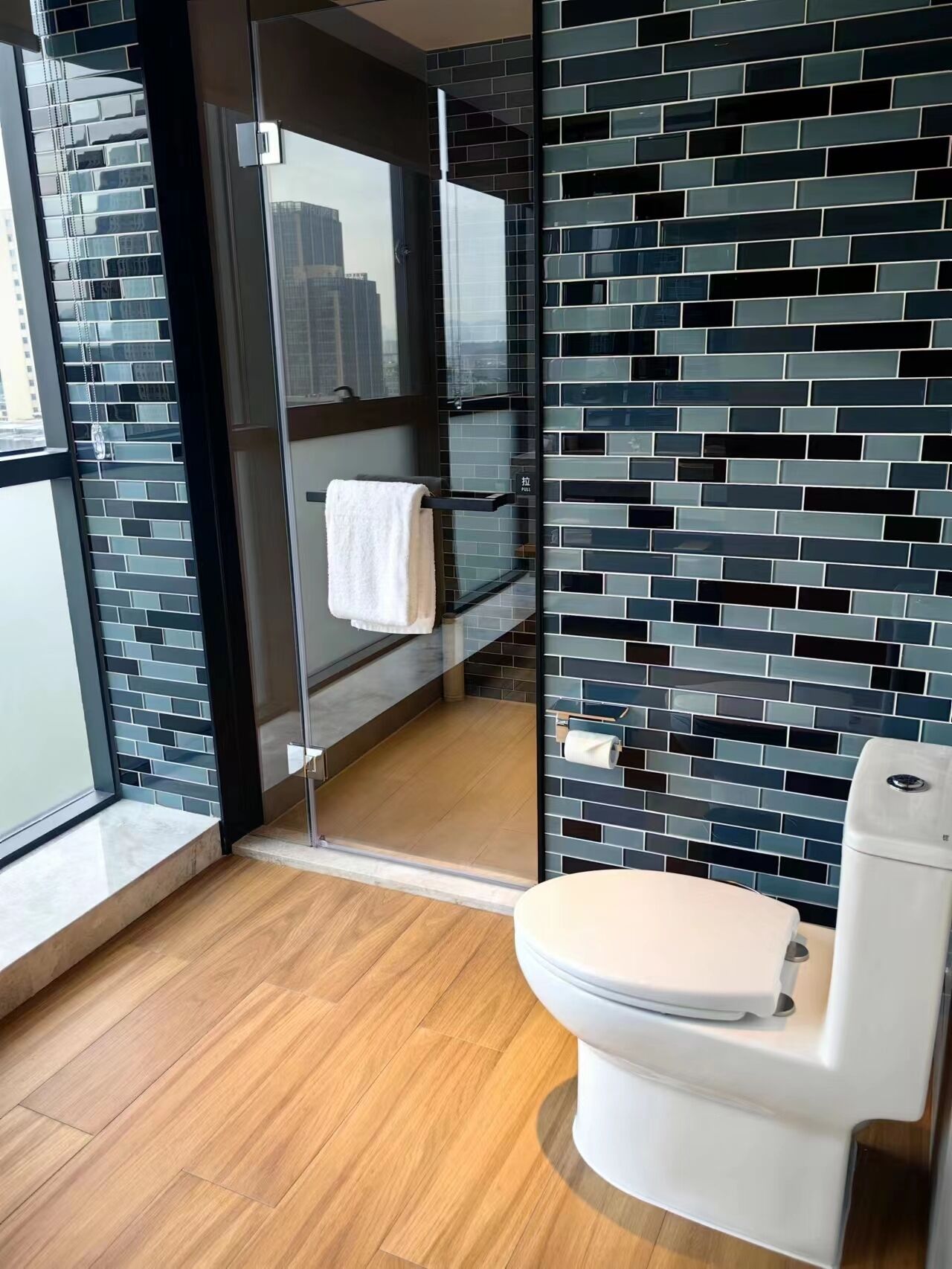 A modern bathroom with a glass shower enclosure, a white toilet, and a tiled backsplash.