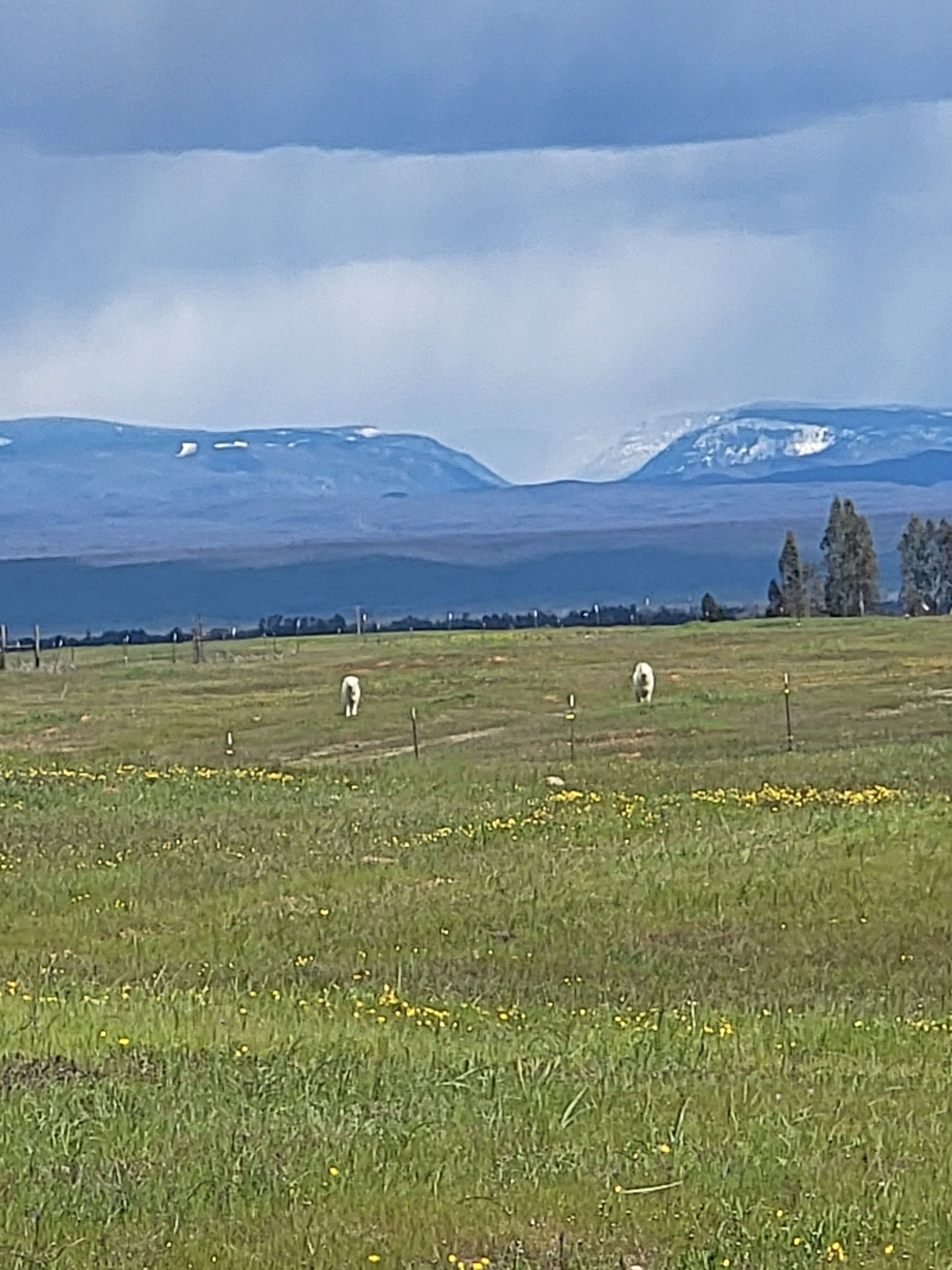 Mt shasta view Farm house