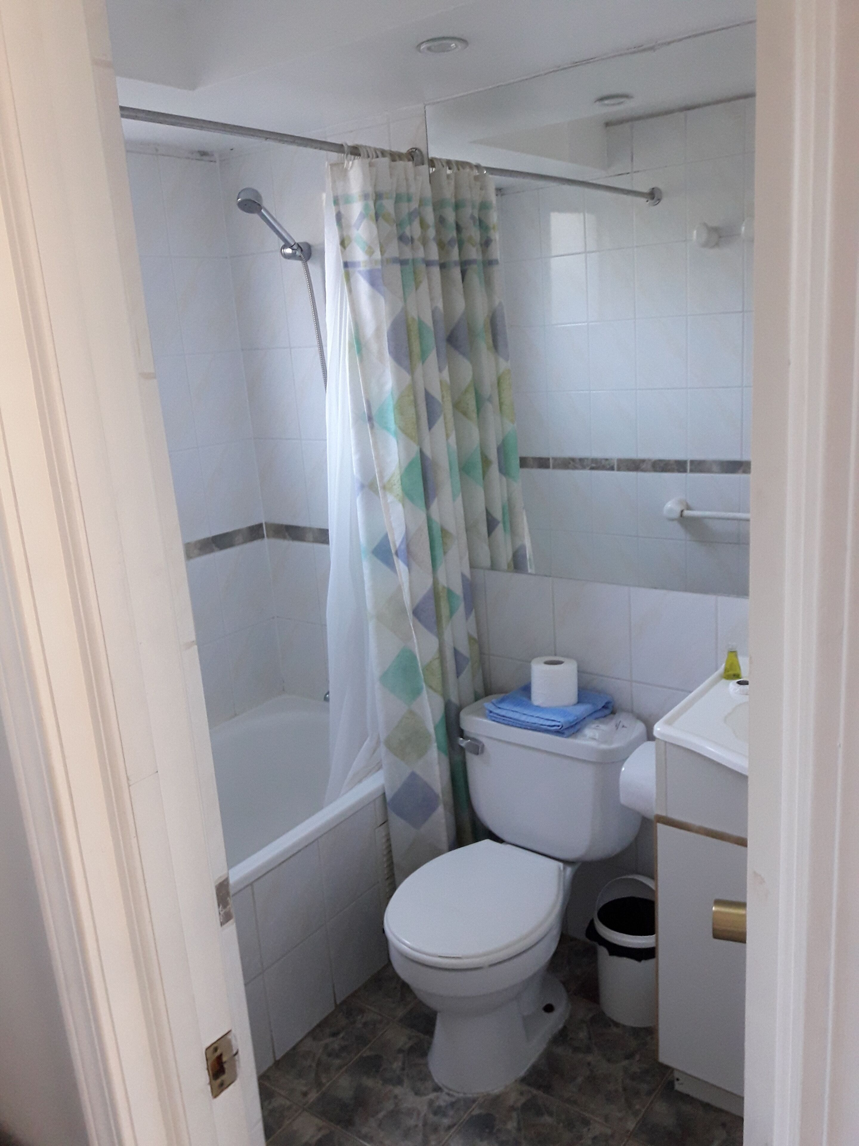 A bathroom with a shower, toilet, and sink.