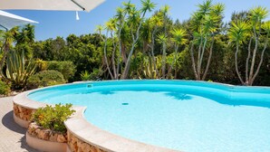 A curved swimming pool with a clear blue water, surrounded by palm trees and various greenery.