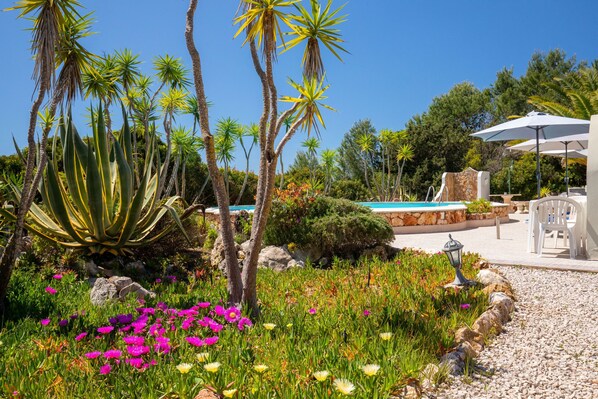A pool area with a stone wall, palm trees, and a variety of colorful flowers.