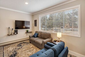 Smart TV, fireplace, books