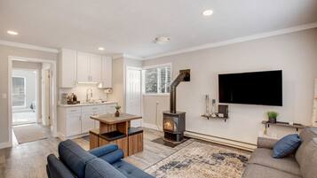 TV connectée, cheminée, livres