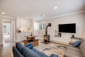 Smart TV, fireplace, books