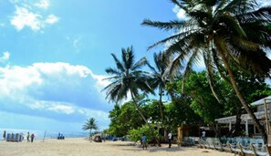Una playa con palmeras, una orilla arenosa y algunas personas.