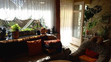 Kamin, Videospiele, DVD-Player, Bücher