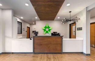Un espace d’accueil doté d’un comptoir de réception en bois, d’un logo vert sur le mur et d’un design moderne au niveau du plafond.