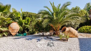 Een tuin met palmstruiken, grote terracotta potten en een grindpad.