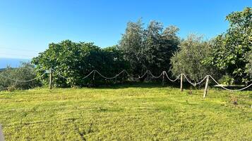 Um campo gramado com uma barreira de corda e árvores ao fundo.