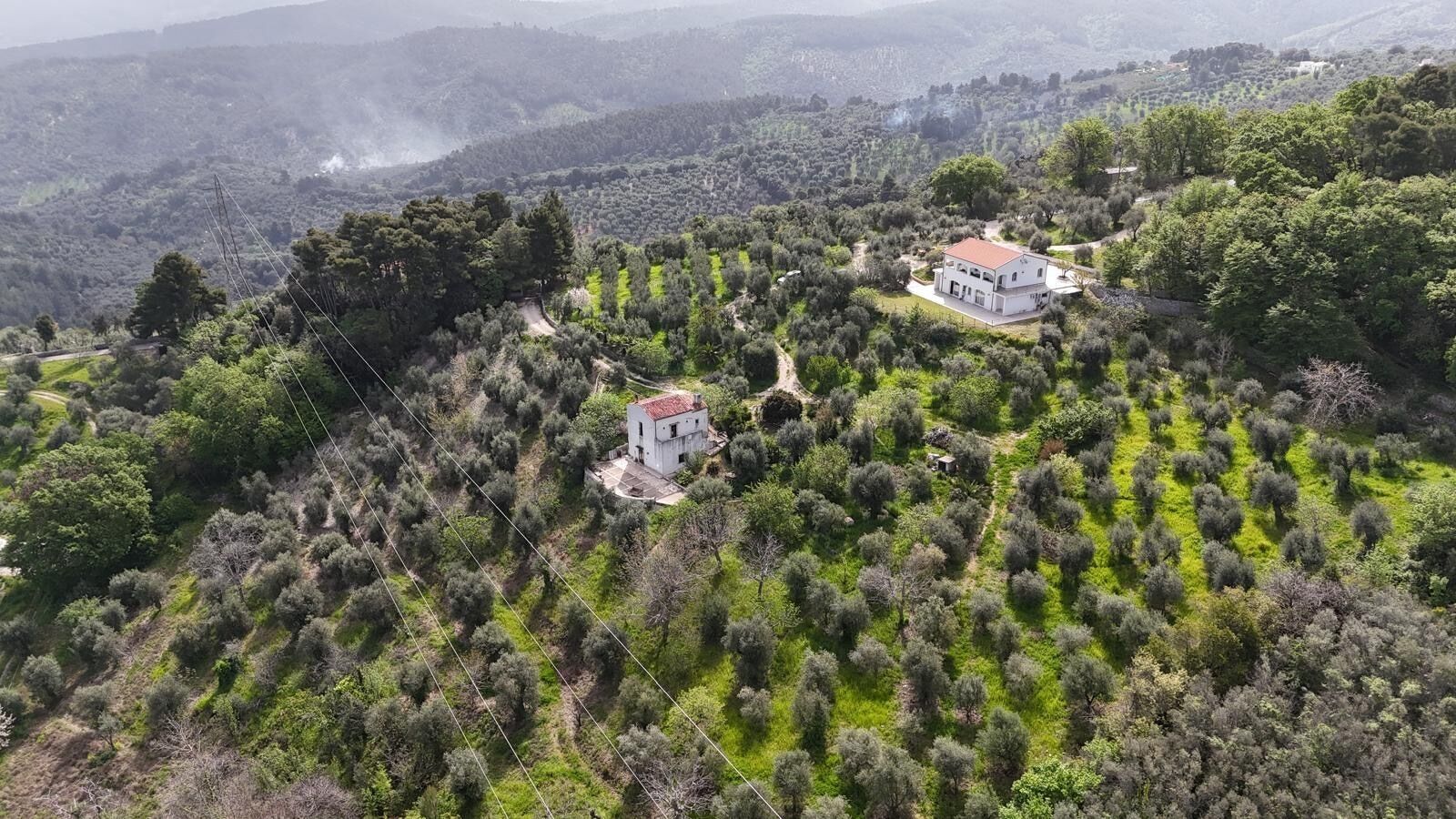 An aerial view of a property with a white building surrounded by olive groves and a hilly landscape.