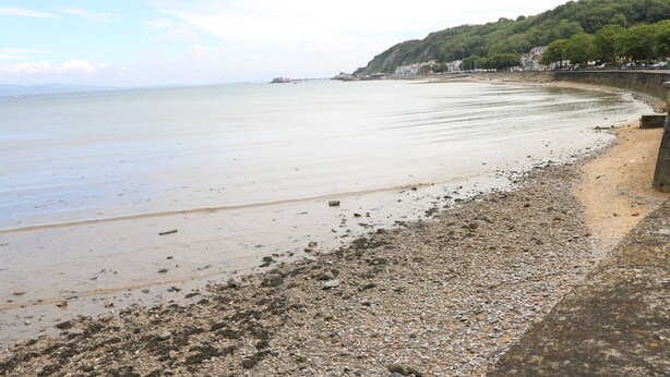 A beach with pebbles and sand, a calm sea, and a forested hill in the background.