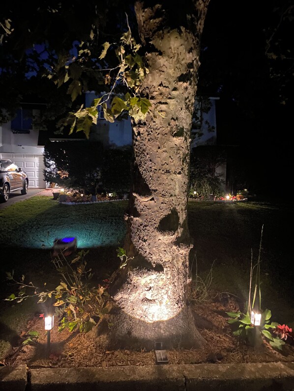 A tree with a textured trunk and a well-maintained lawn.