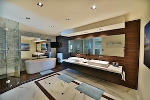 Shower, hair dryer, bidet, towels