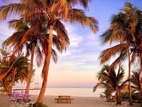 🏝️VACAY KAI: Beachfront 1 Bdrm Penthouse. SPECIAL:‼️Discount‼️ for 7+ Days Rental‼️