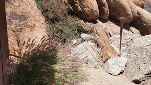 A rocky outdoor area with large boulders and sparse vegetation.
