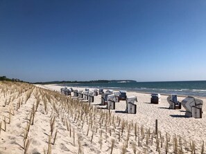 Sun-loungers, beach towels - Fantastic thatched house on Rügen with water views and large garden (Garz/Rügen)