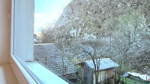 Vista desde la ventana de una zona rural con una casa, un cobertizo pequeño y una colina con árboles.