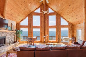 TV, fireplace, DVD player, books