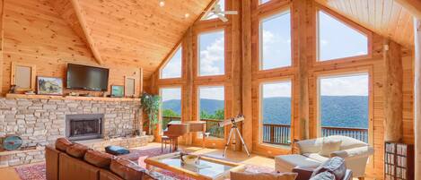 Télévision, cheminée, lecteur de DVD, livres