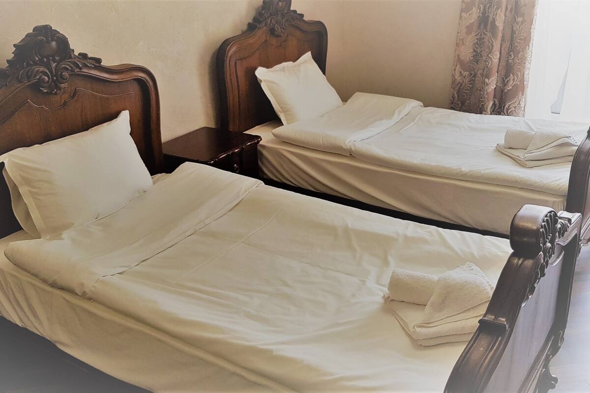 Deluxe Twin Room | Iron/ironing board (on request), WiFi (free), bed sheets